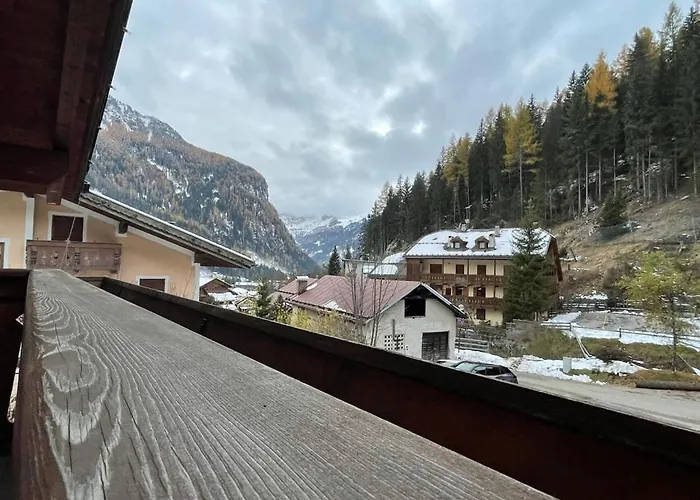 Cesa Niki קאנזיי